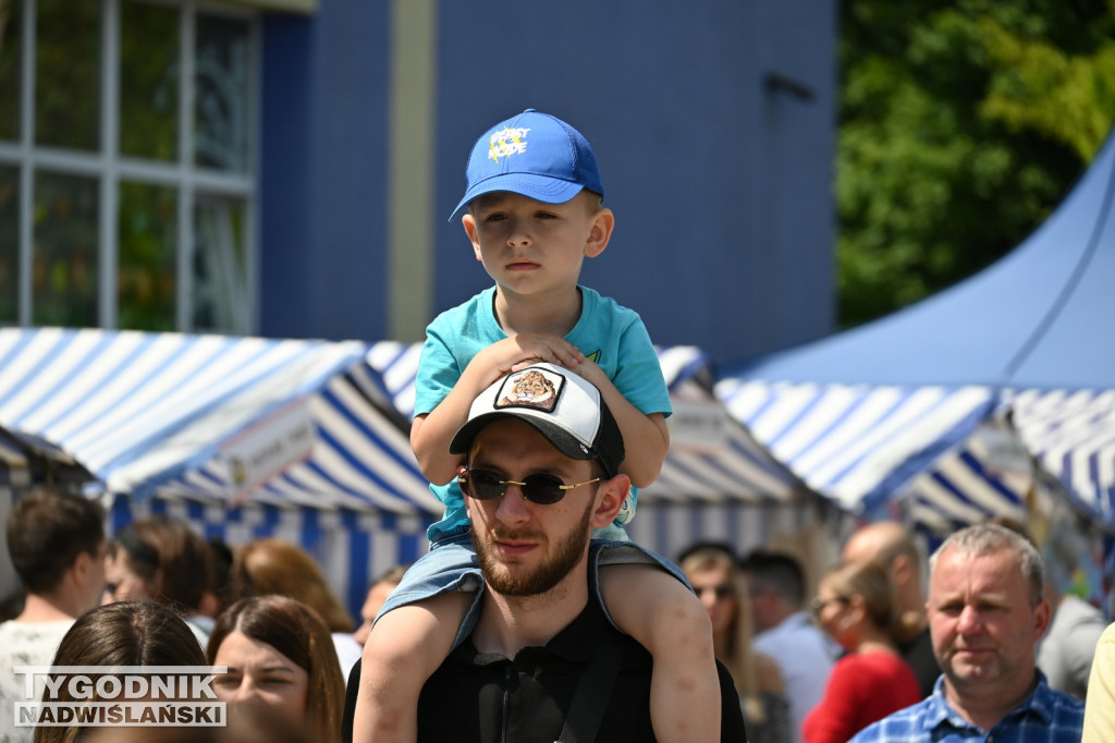 Piknik Rodzinny na Serbinowie w Tarnobrzegu