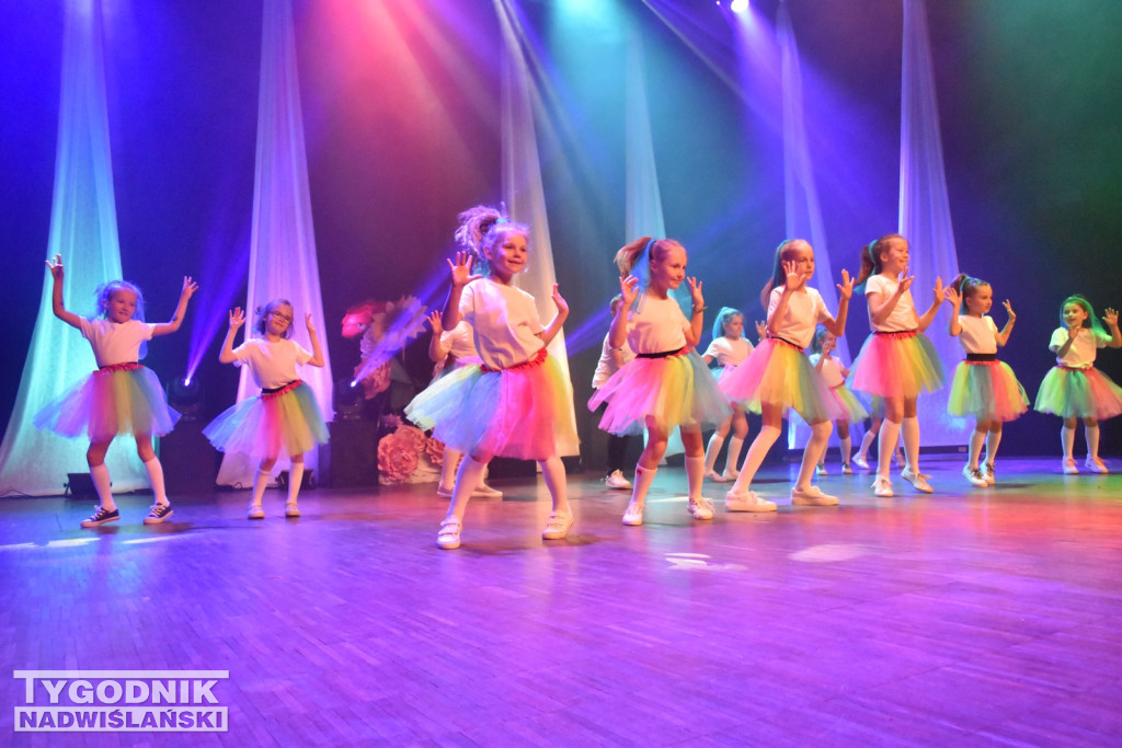 Gala Art Dance w Nowej Dębie