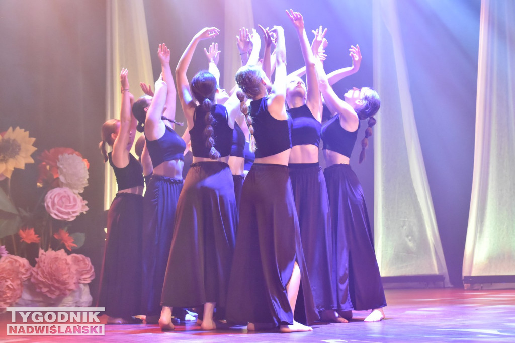 Gala Art Dance w Nowej Dębie