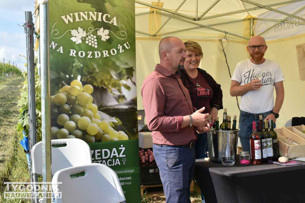 III Piknik Kwitnącej Winorośli