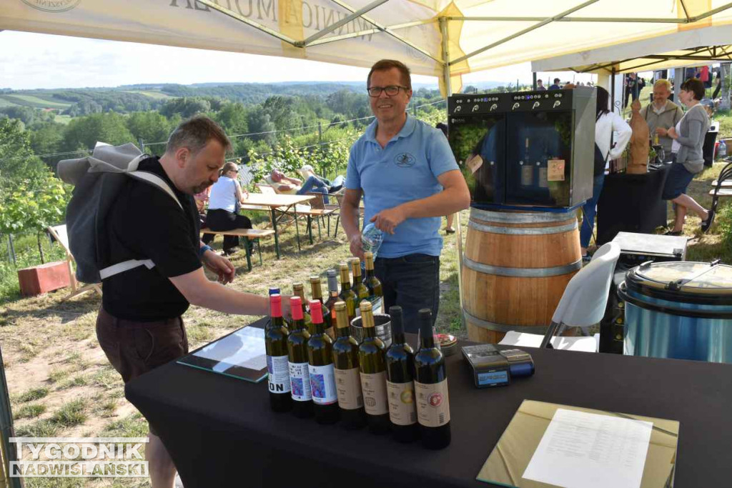 III Piknik Kwitnącej Winorośli