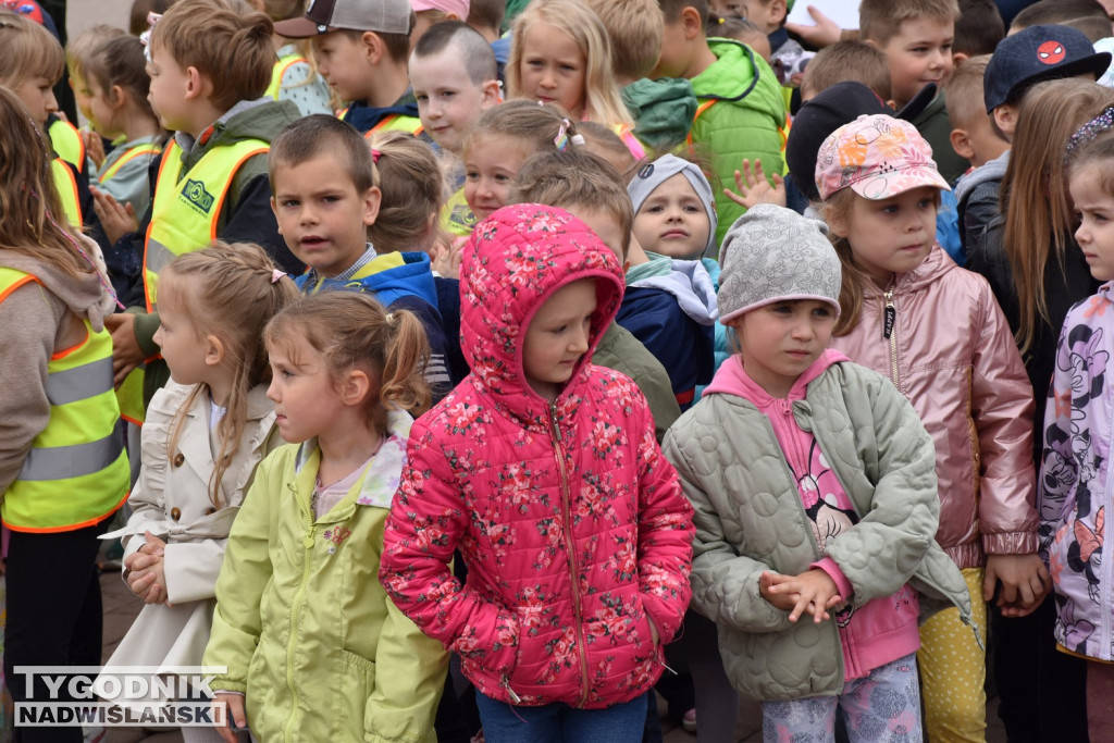 Finał projektu tarnobrzeskiej biblioteki miejskiej