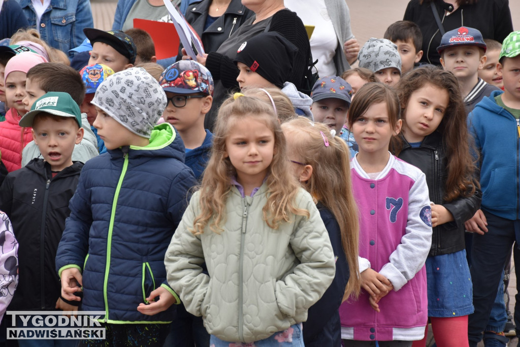 Finał projektu tarnobrzeskiej biblioteki miejskiej