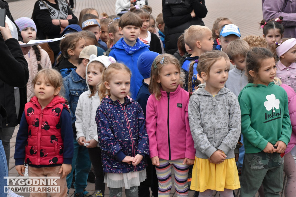 Finał projektu tarnobrzeskiej biblioteki miejskiej