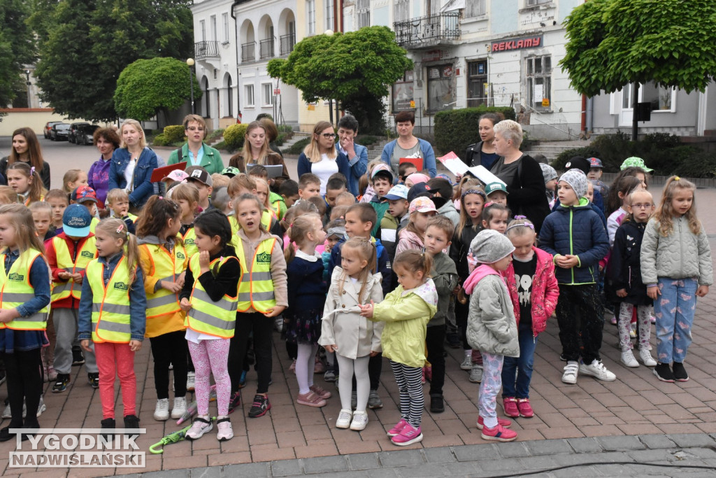 Finał projektu tarnobrzeskiej biblioteki miejskiej