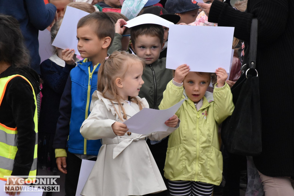 Finał projektu tarnobrzeskiej biblioteki miejskiej