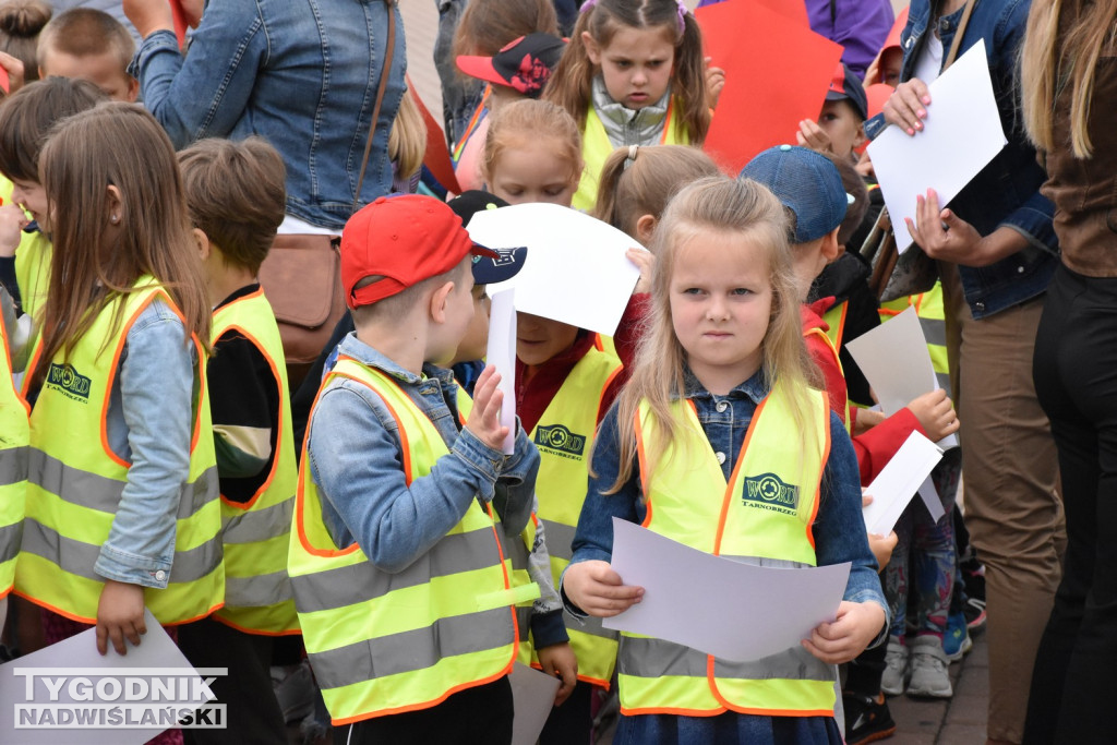 Finał projektu tarnobrzeskiej biblioteki miejskiej