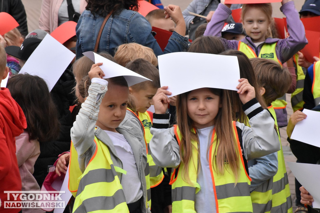 Finał projektu tarnobrzeskiej biblioteki miejskiej