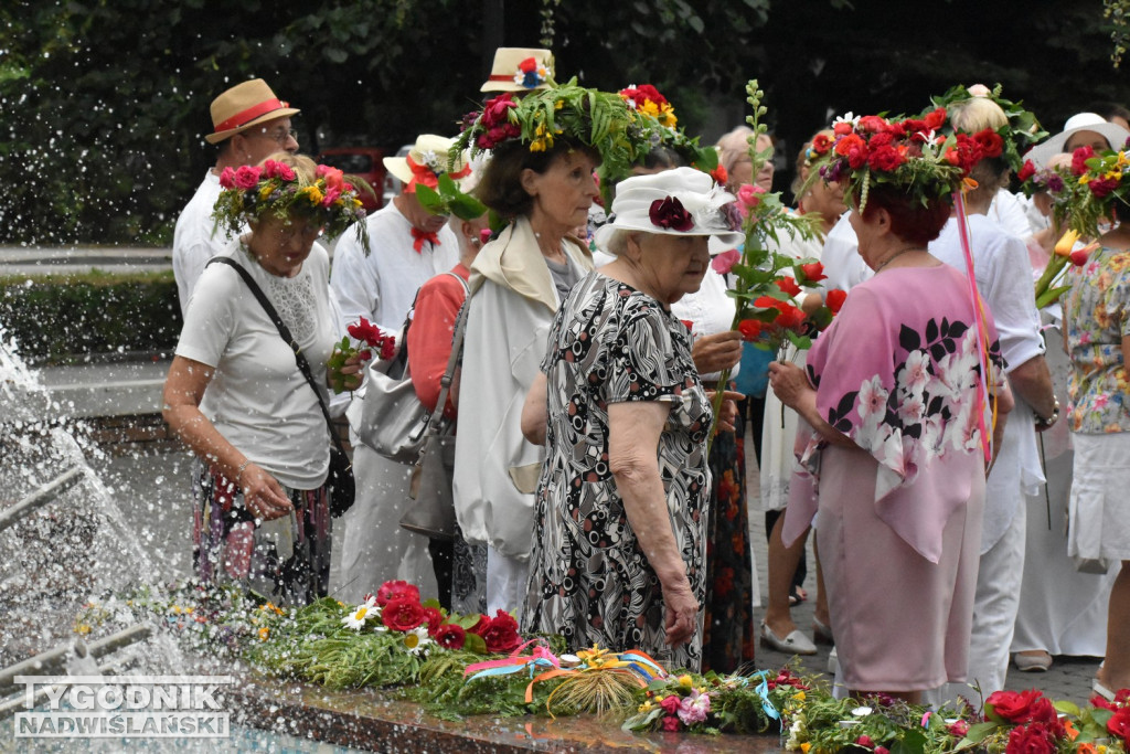 Noc Świętojańska seniorów w Tarnobrzegu