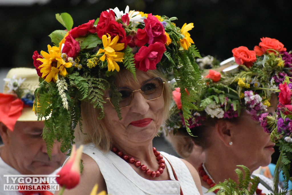 Noc Świętojańska seniorów w Tarnobrzegu