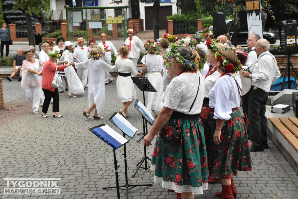 Noc Świętojańska seniorów w Tarnobrzegu