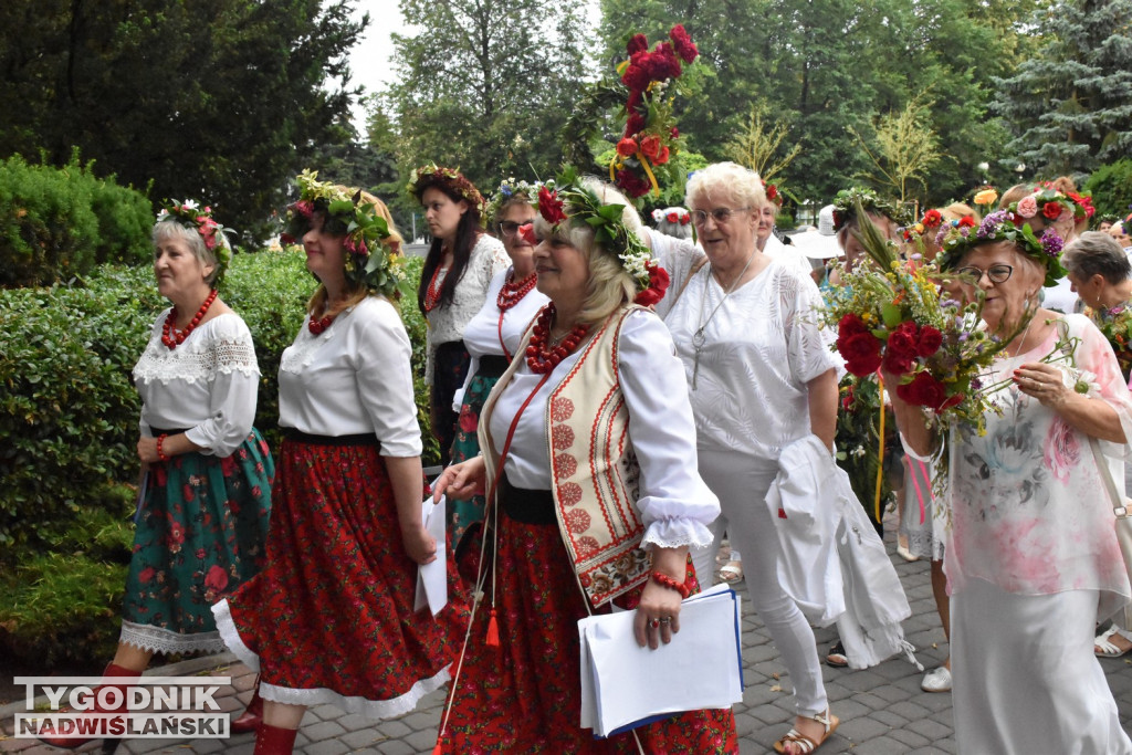 Noc Świętojańska seniorów w Tarnobrzegu