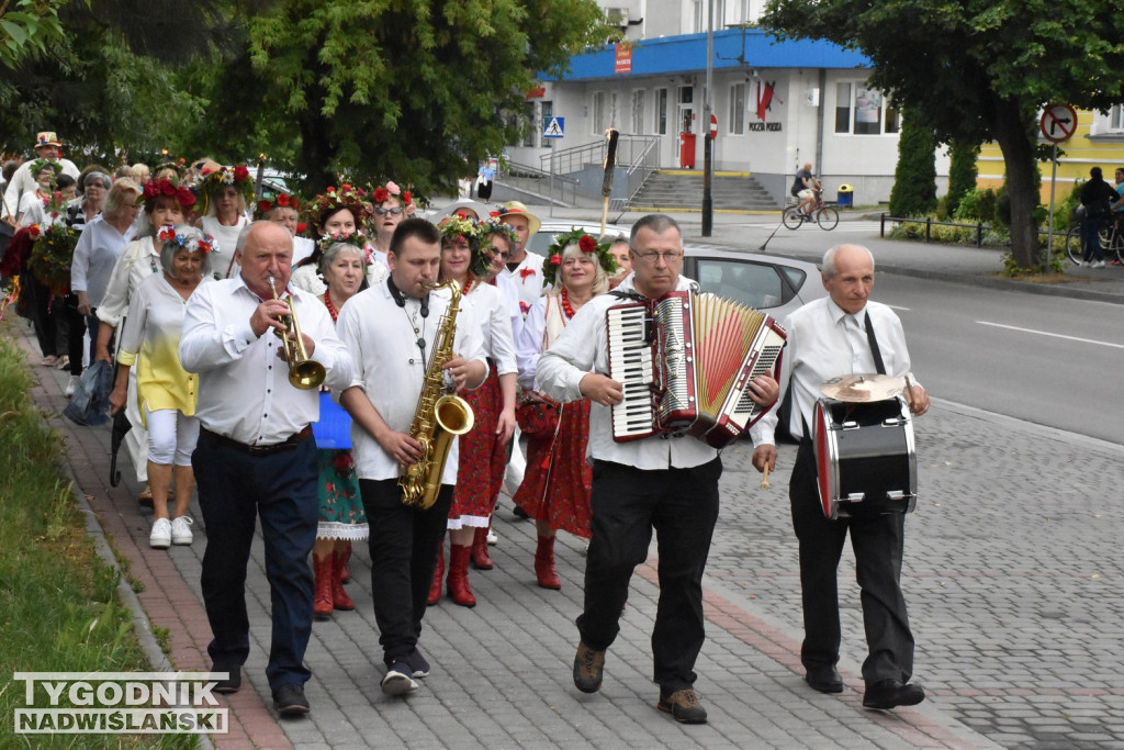 Noc Świętojańska seniorów w Tarnobrzegu