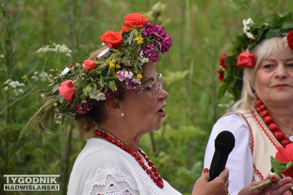 Noc Świętojańska seniorów w Tarnobrzegu