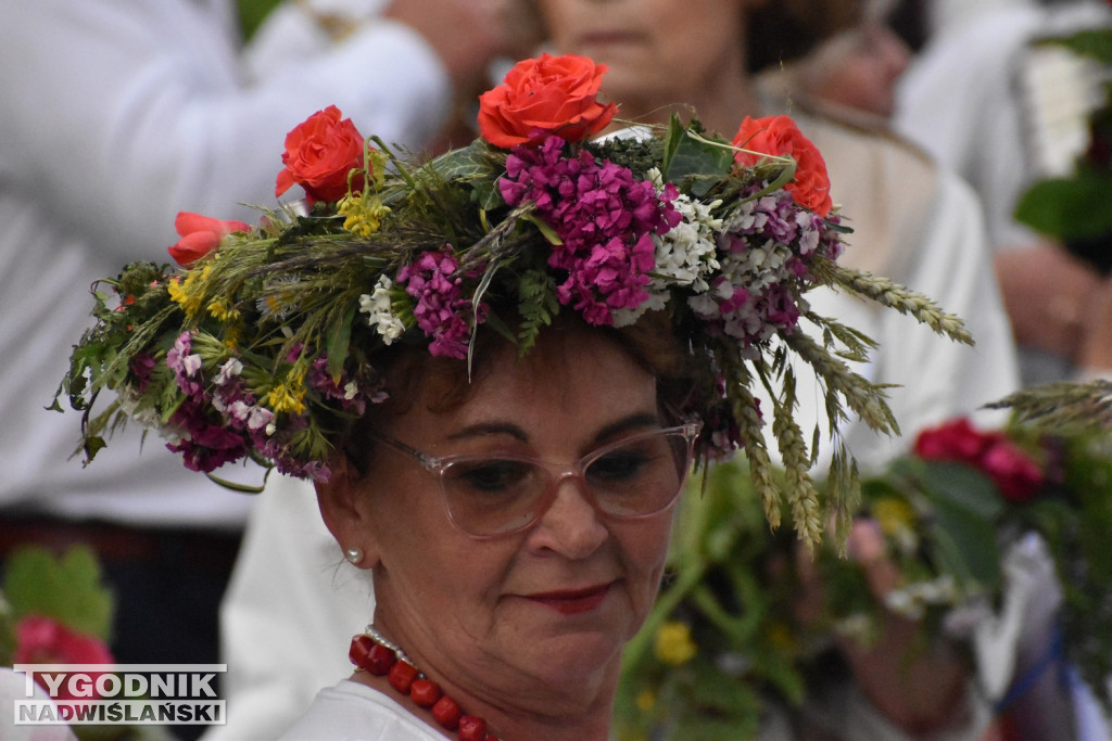 Noc Świętojańska seniorów w Tarnobrzegu
