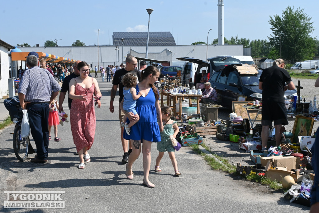 Pchli Targ w Tarnobrzegu - 25 czerwca 2023