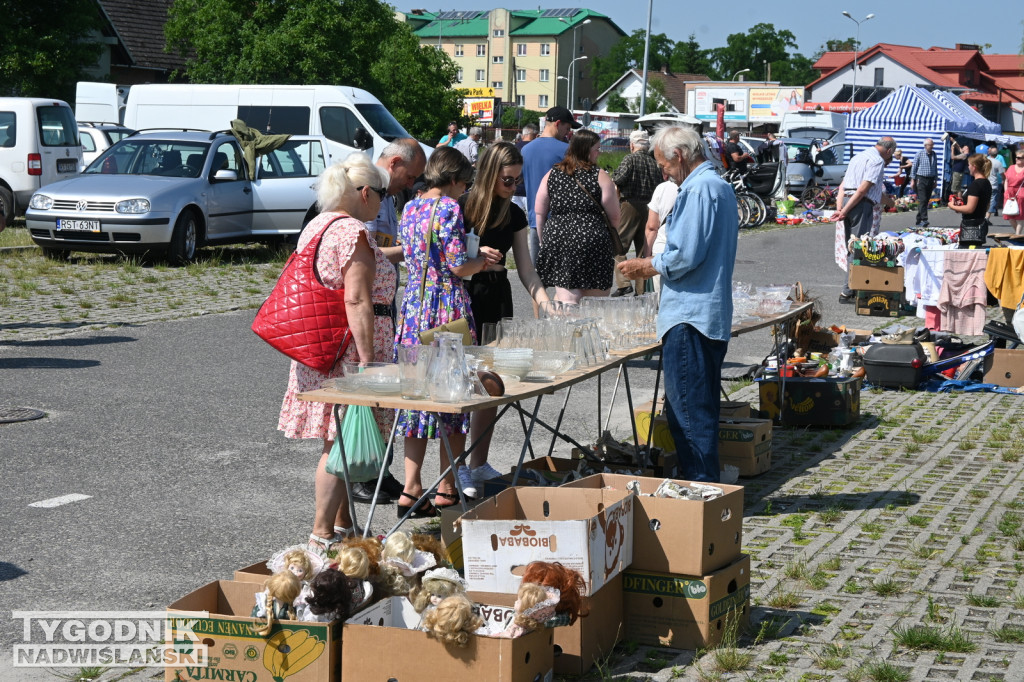 Pchli Targ w Tarnobrzegu - 25 czerwca 2023