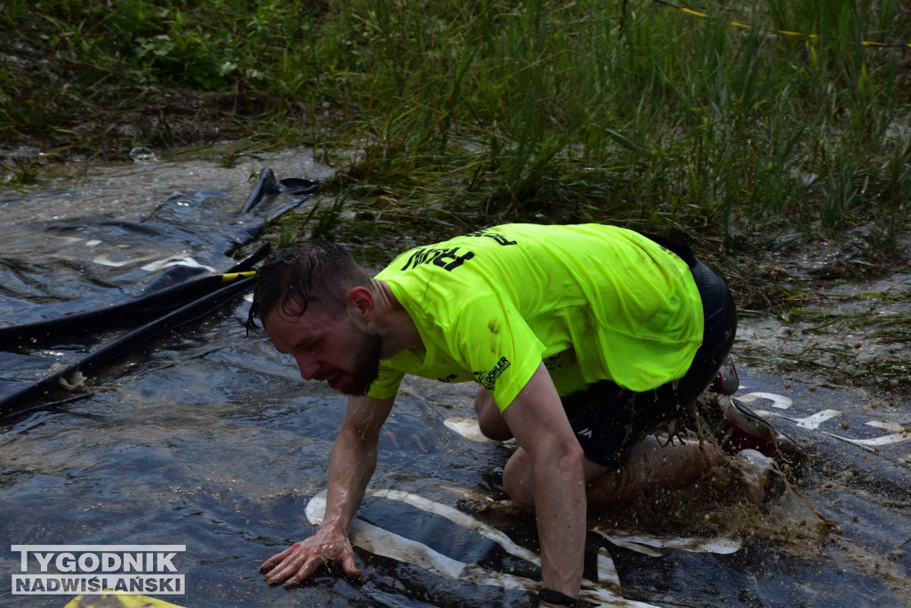 Bieg dorosłych Run Fit 2023