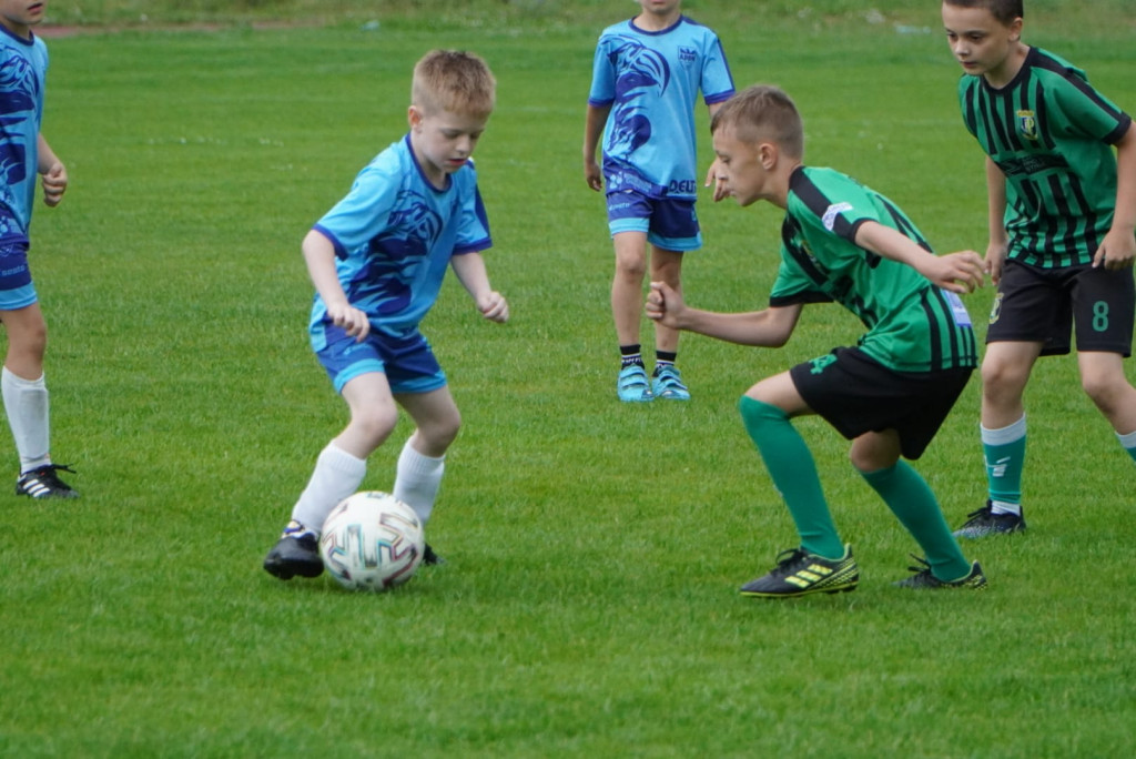 Enea Cup 2023 Staszów