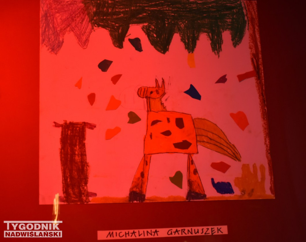 Nowa wystawa w Sandomierskim Centrum Kultury