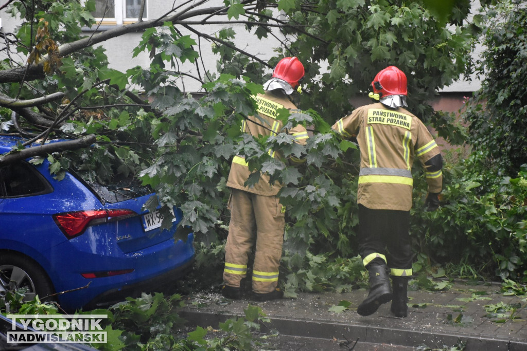 W Tarnobrzegu konar drzewa spadł na samochody