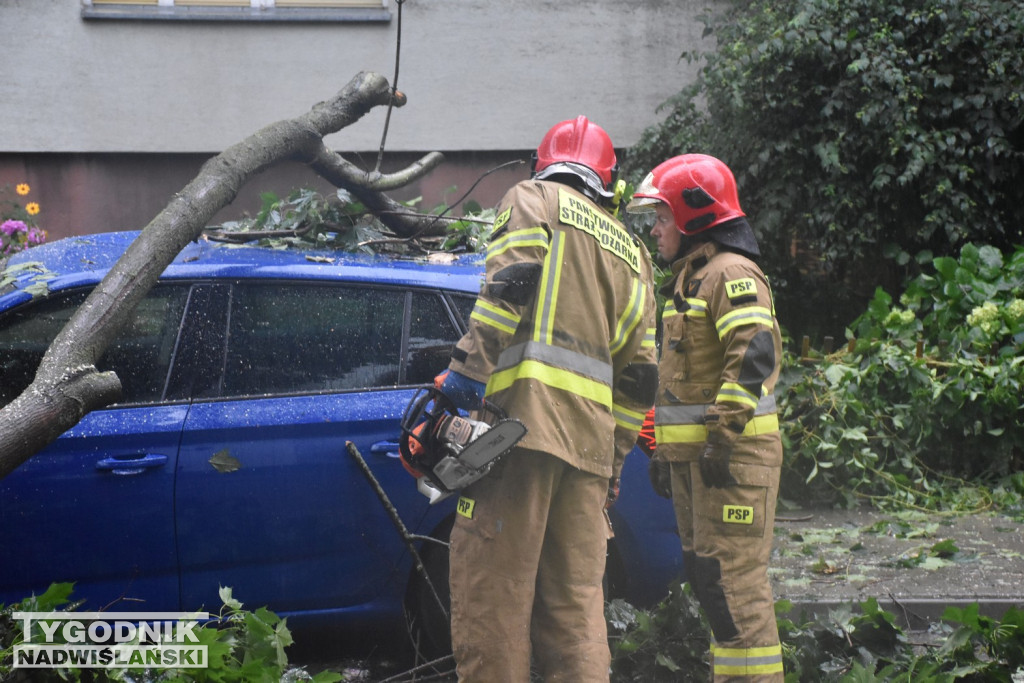 W Tarnobrzegu konar drzewa spadł na samochody