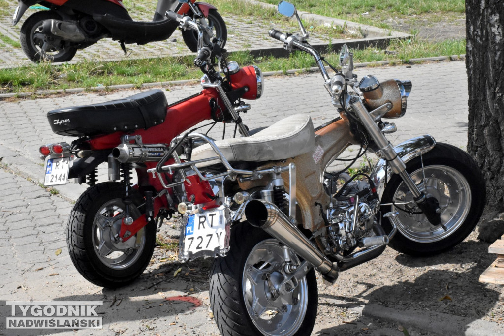Lipcowy Pchli Targ w Tarnobrzegu