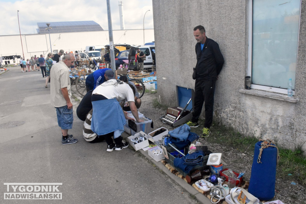 Lipcowy Pchli Targ w Tarnobrzegu