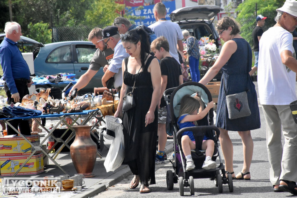 Lipcowy Pchli Targ w Tarnobrzegu