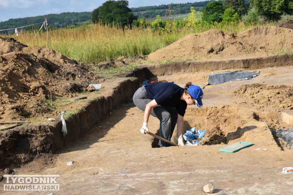 Odkrycia archeologiczne w Wilczycach