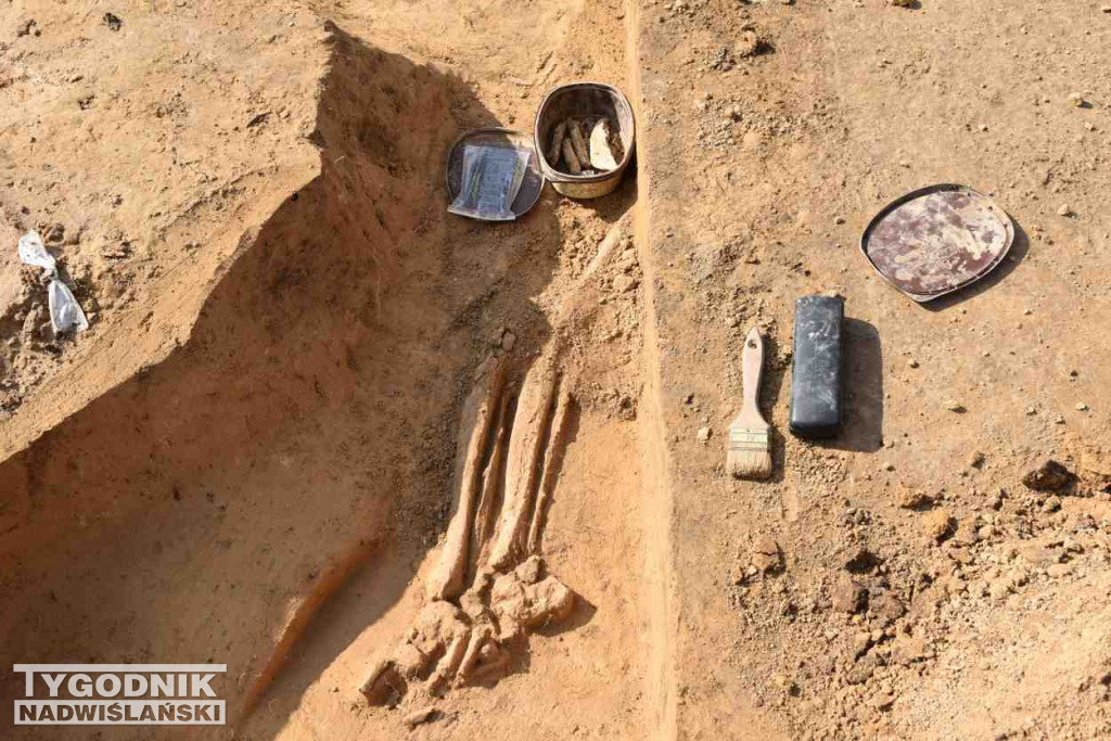 Odkrycia archeologiczne w Wilczycach