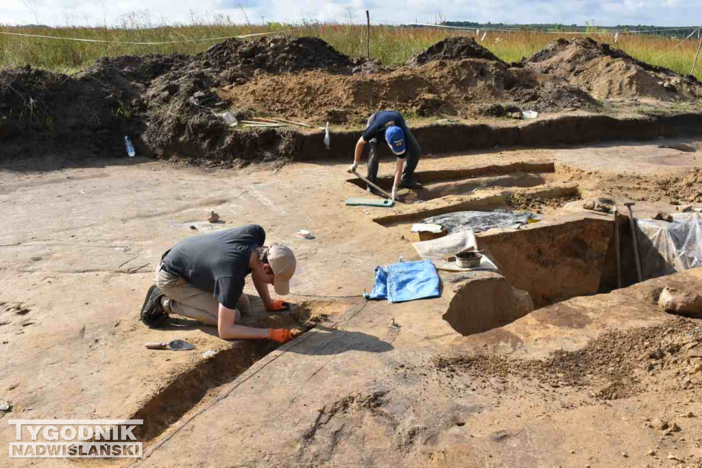 Odkrycia archeologiczne w Wilczycach