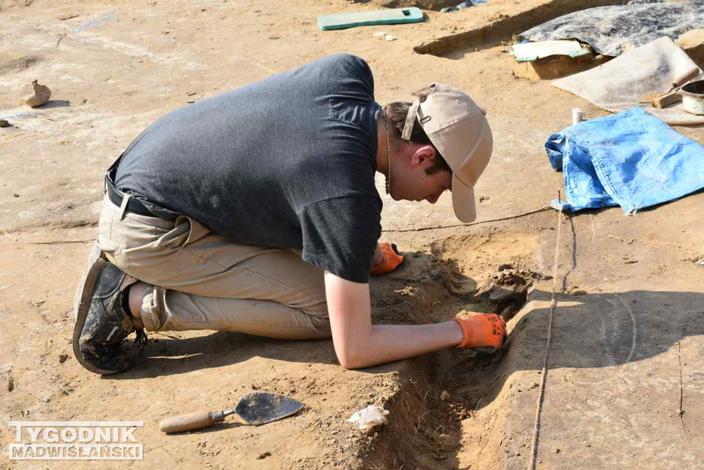 Odkrycia archeologiczne w Wilczycach