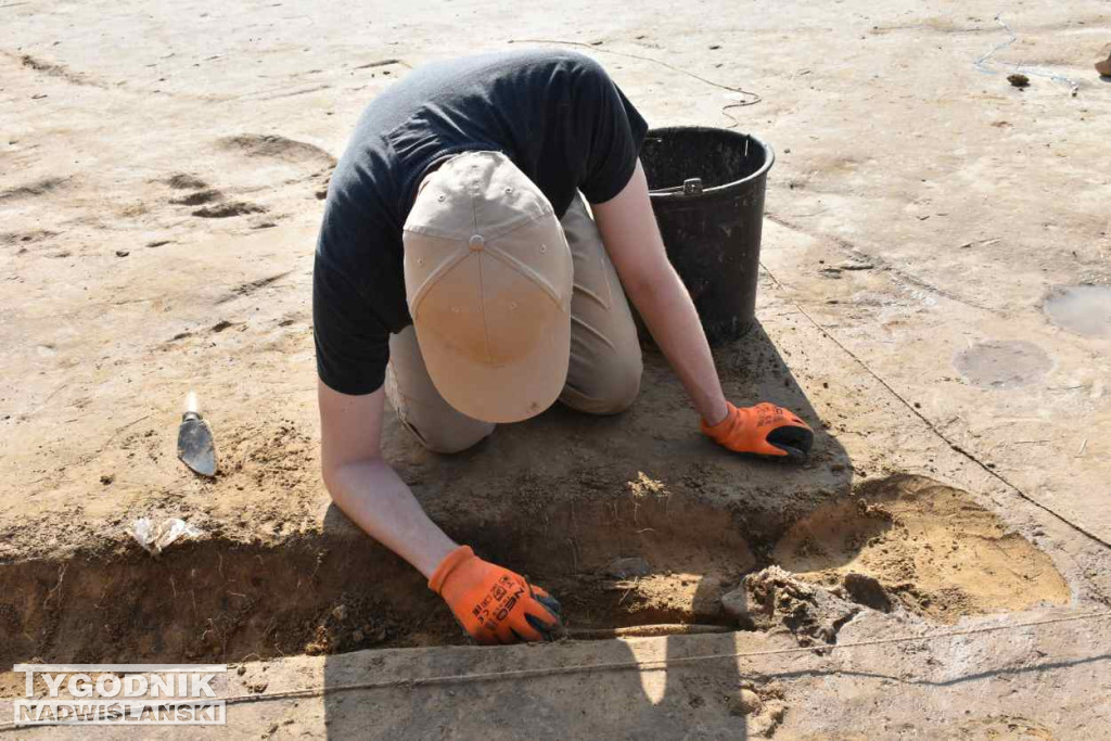 Odkrycia archeologiczne w Wilczycach