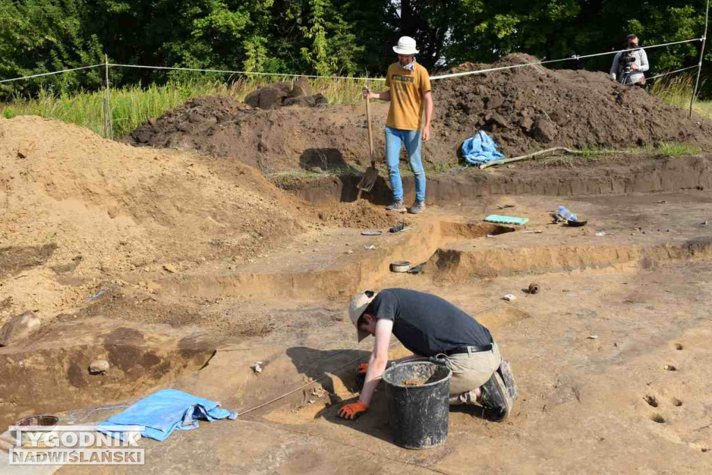 Odkrycia archeologiczne w Wilczycach