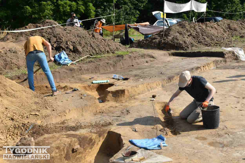 Odkrycia archeologiczne w Wilczycach