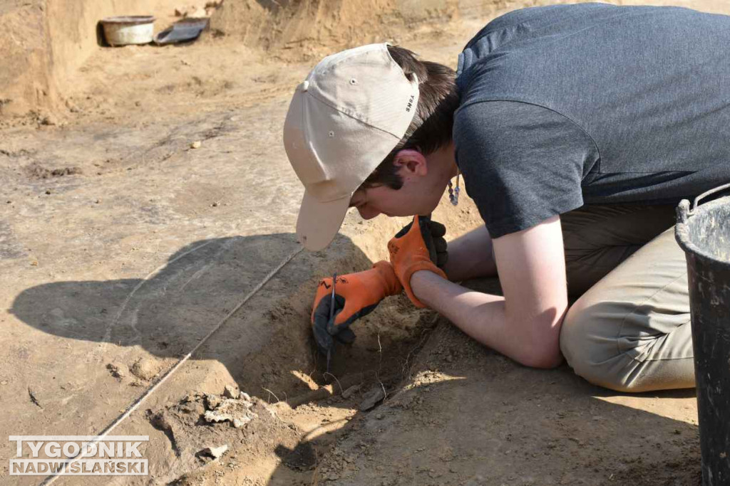 Odkrycia archeologiczne w Wilczycach