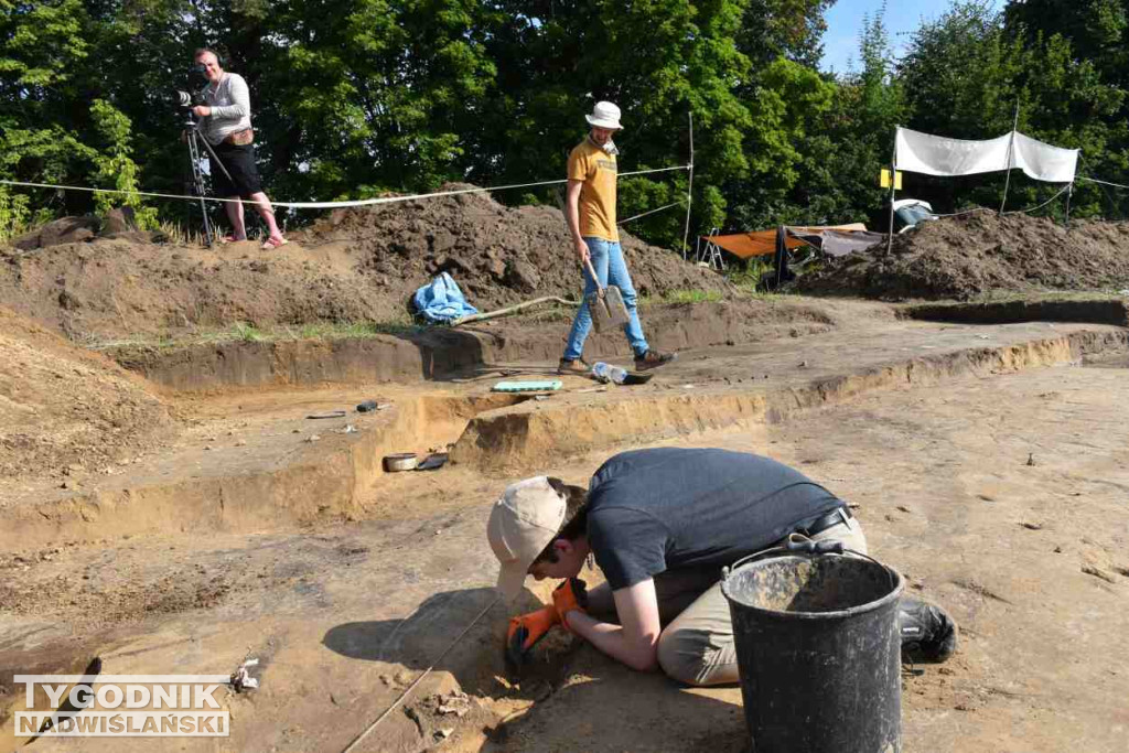 Odkrycia archeologiczne w Wilczycach
