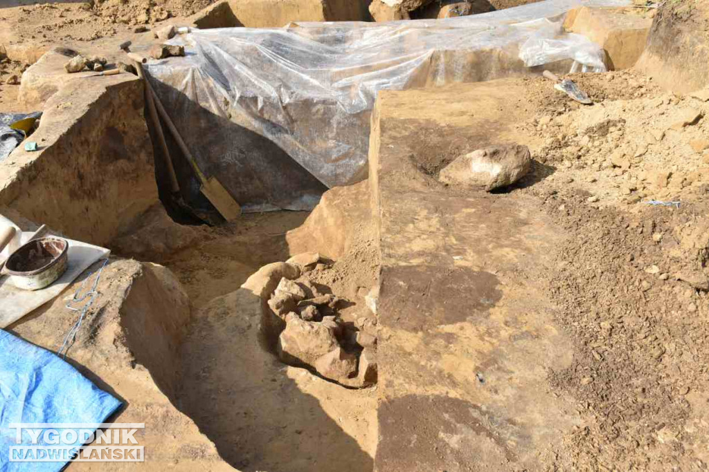 Odkrycia archeologiczne w Wilczycach