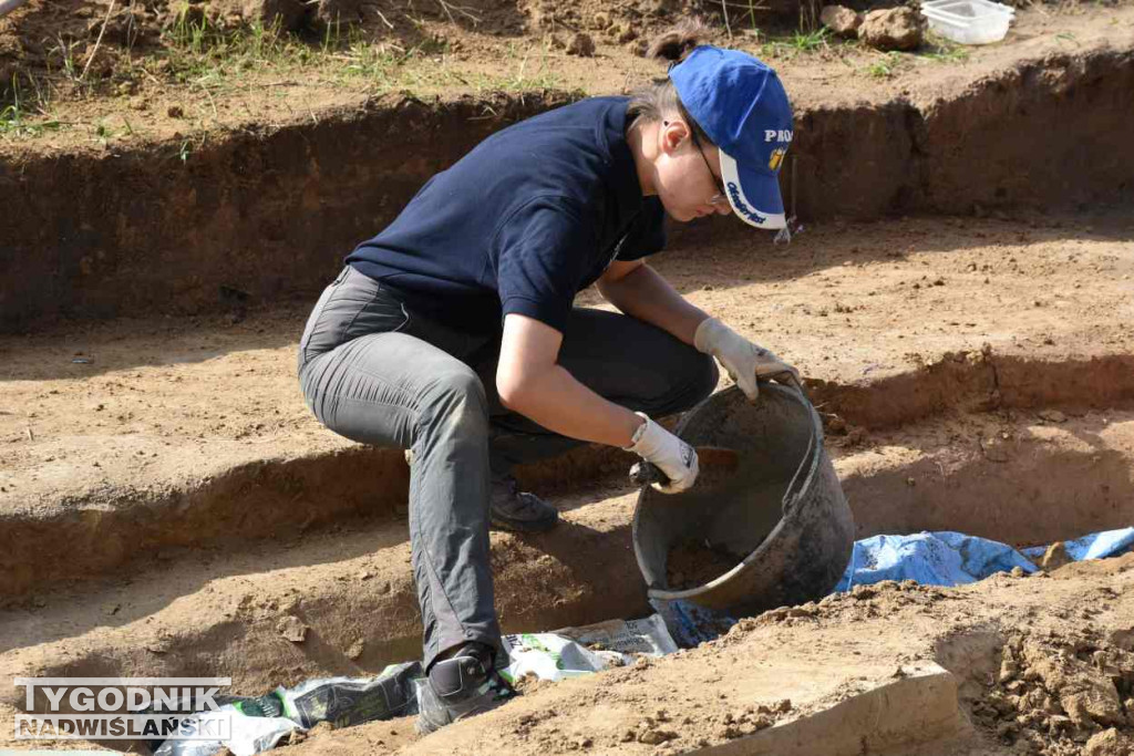 Odkrycia archeologiczne w Wilczycach