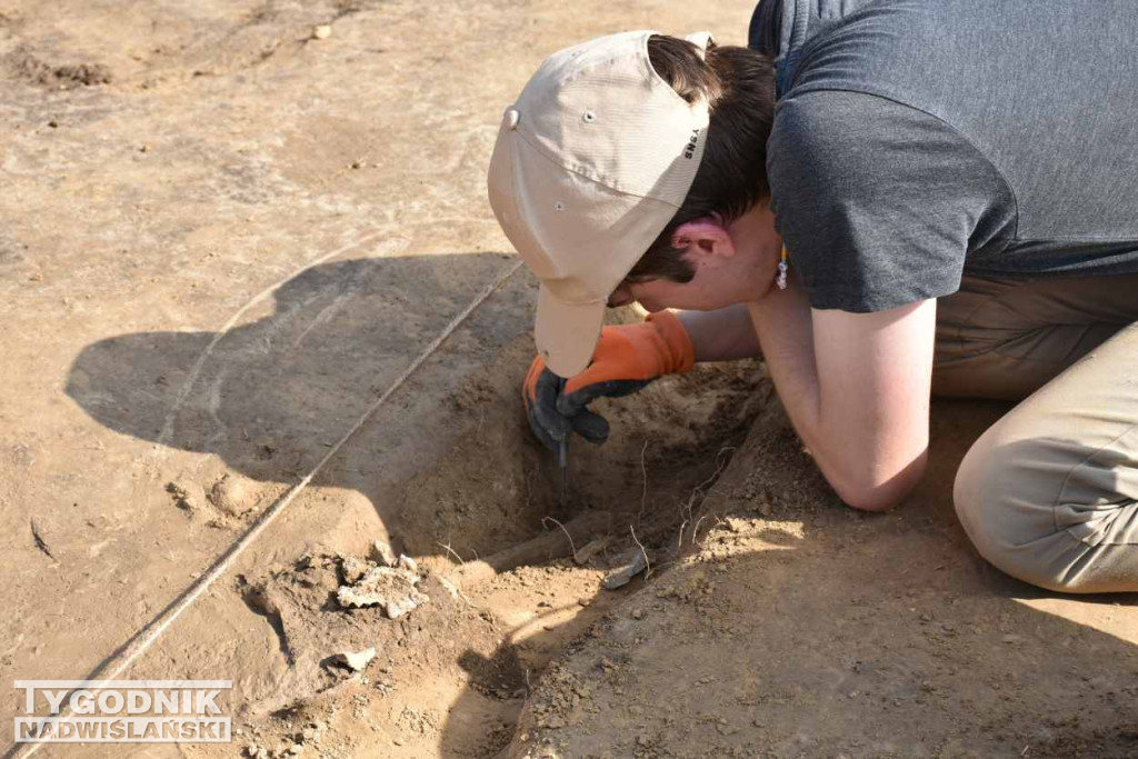 Odkrycia archeologiczne w Wilczycach