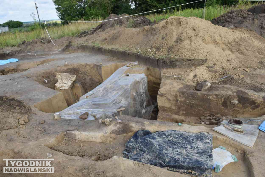 Odkrycia archeologiczne w Wilczycach