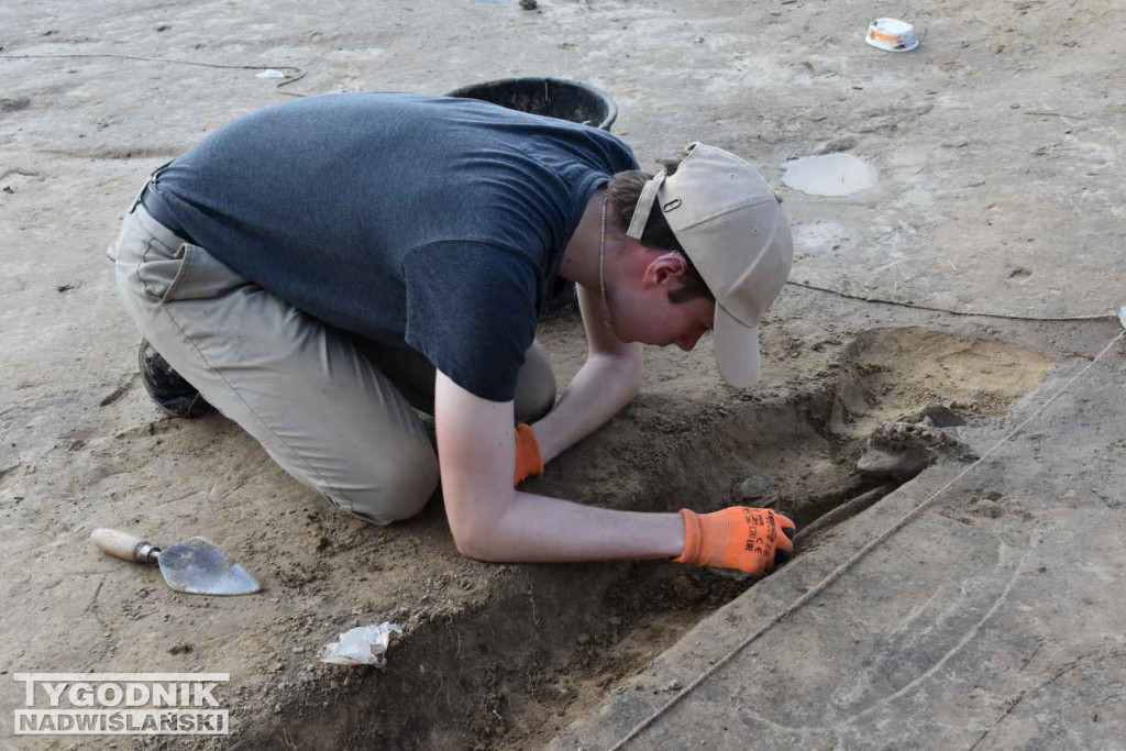 Odkrycia archeologiczne w Wilczycach