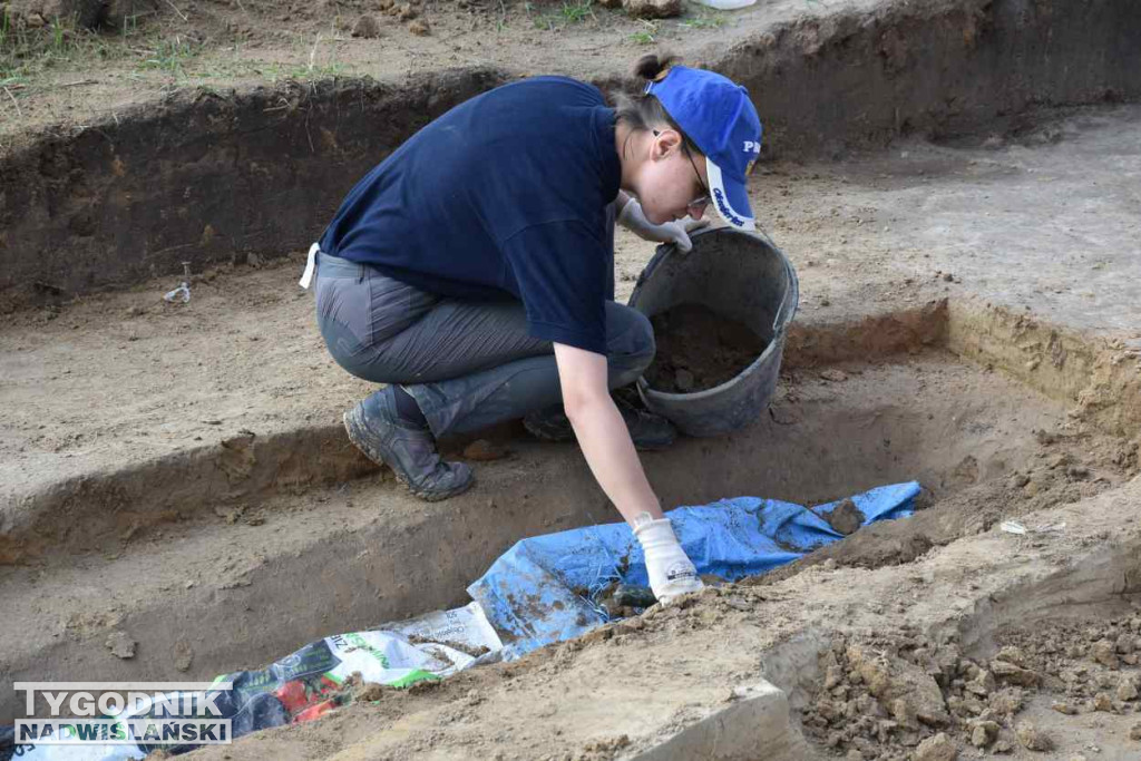 Odkrycia archeologiczne w Wilczycach