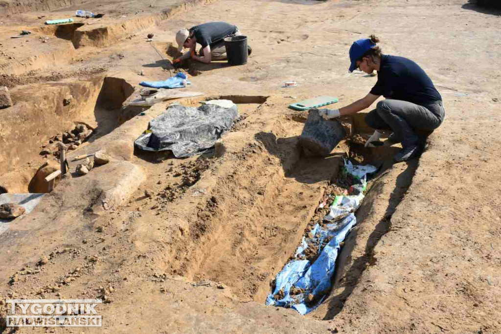 Odkrycia archeologiczne w Wilczycach
