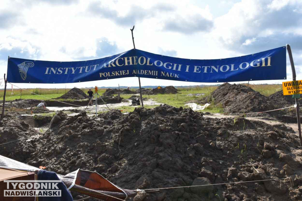 Odkrycia archeologiczne w Wilczycach