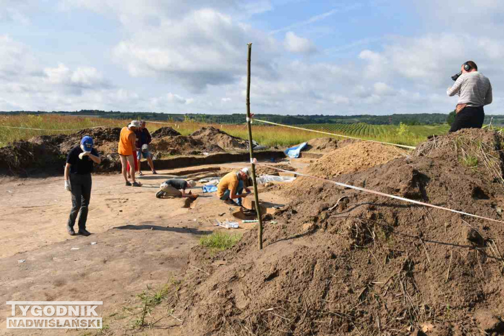 Odkrycia archeologiczne w Wilczycach