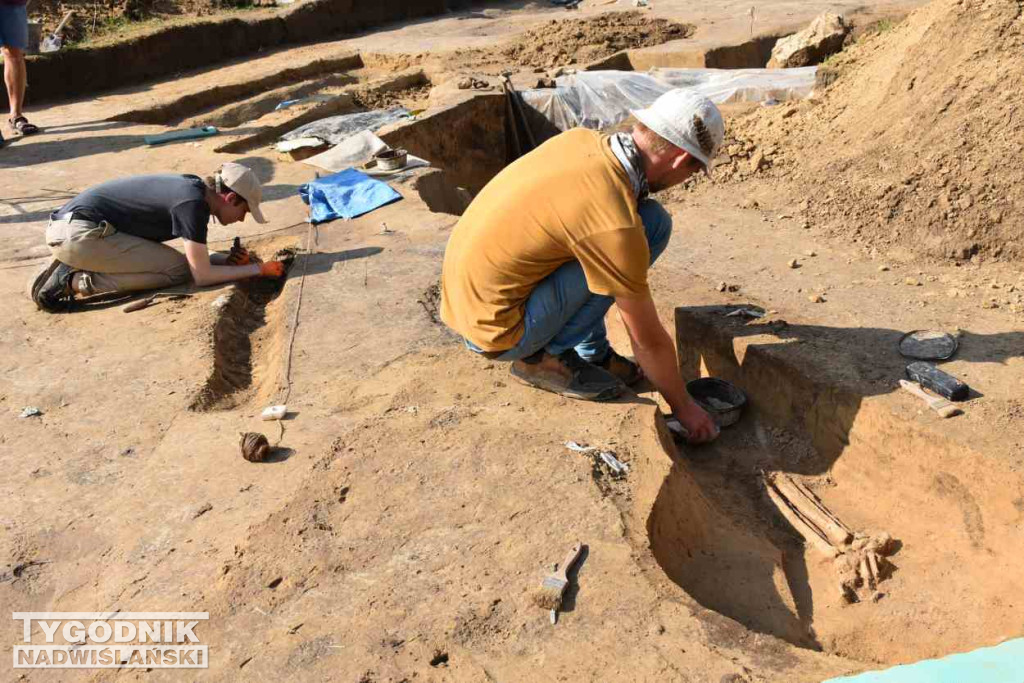 Odkrycia archeologiczne w Wilczycach
