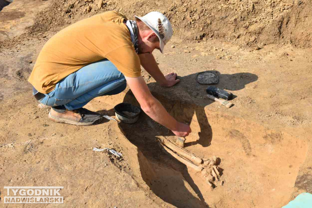 Odkrycia archeologiczne w Wilczycach