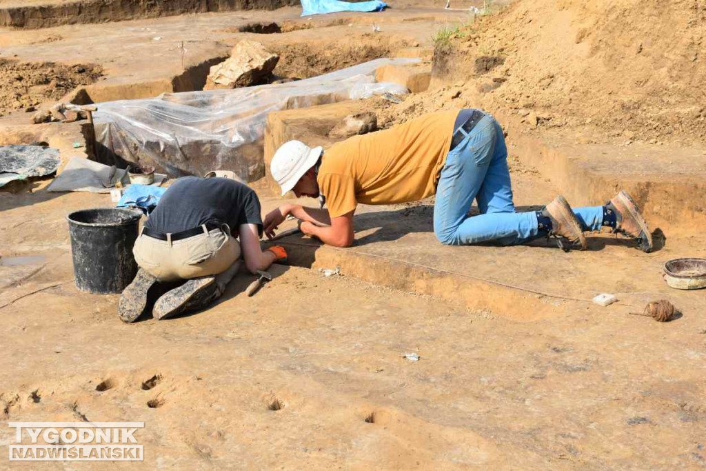 Odkrycia archeologiczne w Wilczycach
